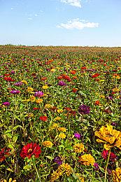 《雪地奔驰》：第九季和第三年通行证现已推出！